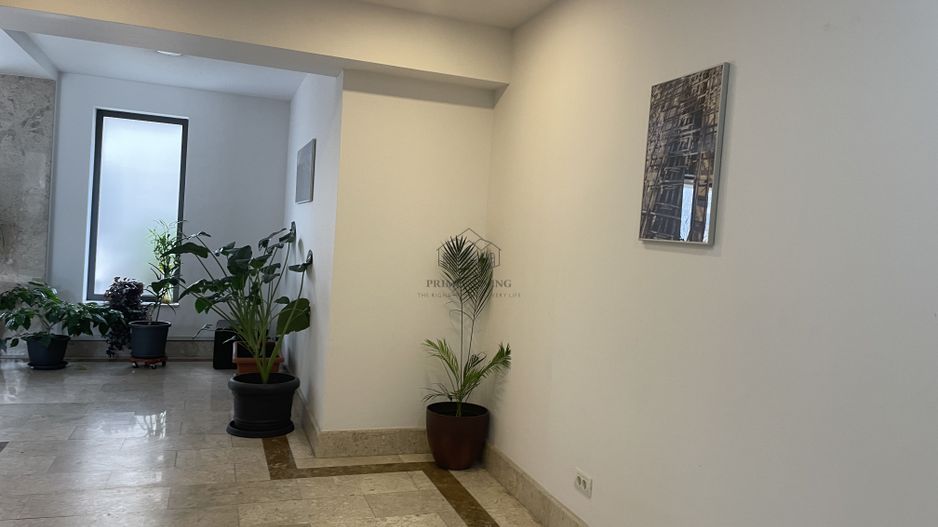 APARTAMENT COCHET DE 3 CAMERE IN ZONA AVIATIEI LANGA PARC HERASTRAU - Poză 12