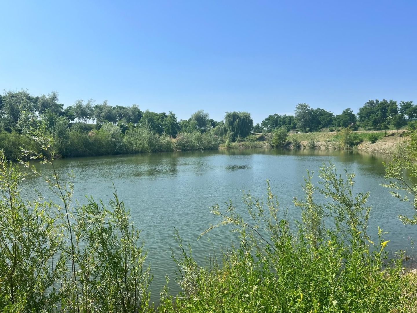 Iaz Piscicol Bacau Saucesti - Poză 10