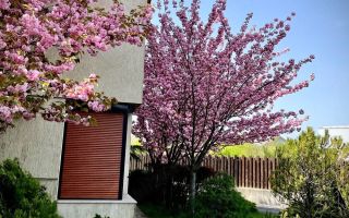 Casa/ Vila Duplex P+1+M zona Sisesti/ Baneasa - Poză 1