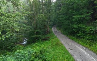 18000 mp de natura pura ,Lupeni, langa Straja - Poză 4