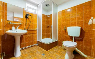 Casa + Pensiune deosebita - Orlat, Sibiu - Poză 42