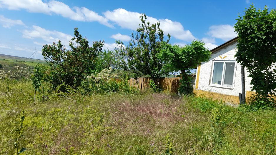 Casă cu teren de 1.470 mp de vânzare – Fântânele, Scânteiești - Poză 42