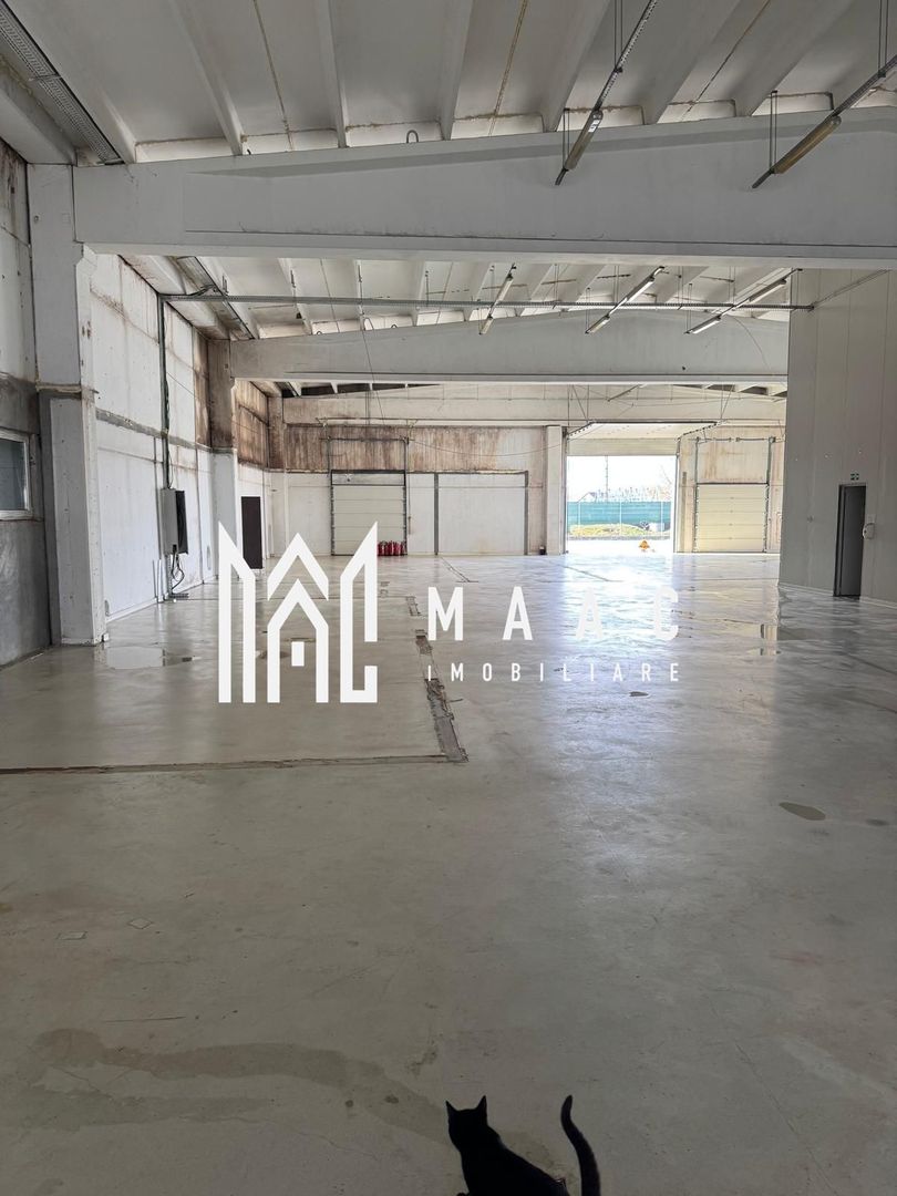 Spațiu industrial 1000mp | Acces tir | Teren 2500mp | Selimbar - Poză 5