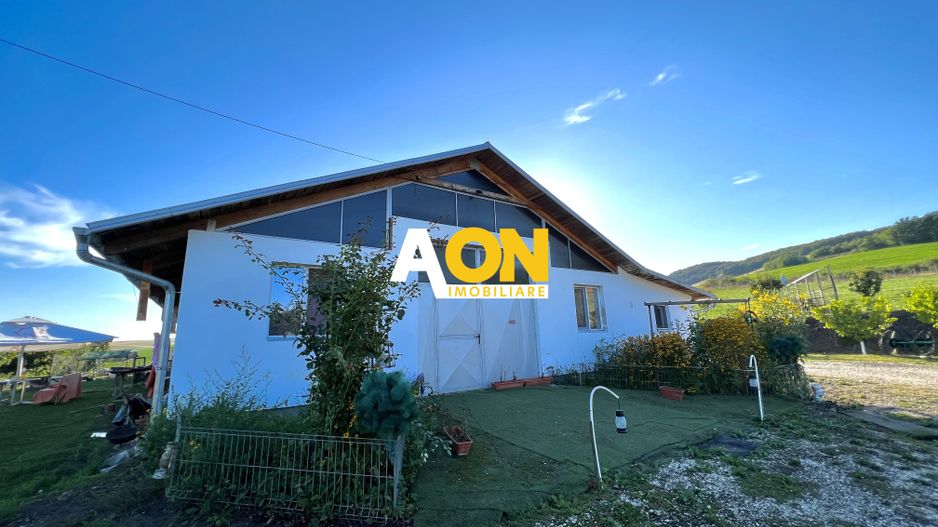 Ferma de vanzare cu 550MP utili si 27.500MP teren la asfalt - Poză 3