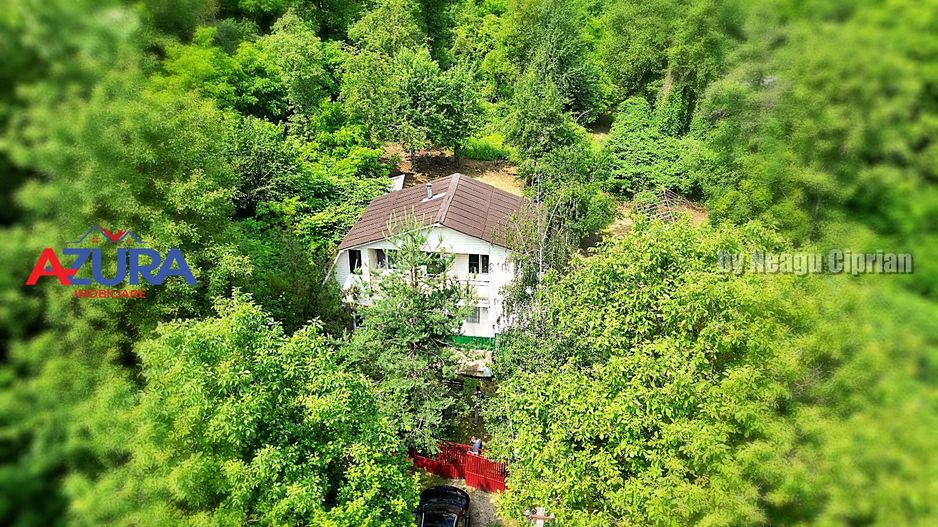 Casă de vânzare la liziera pădurii – Comuna Bogați, Argeș - Poză 2