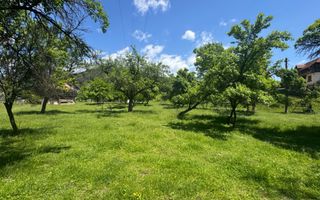 TEREN INTRAVILAN 3477 MP STOENEȘTI BĂDENI ARGEȘ - Poză 12