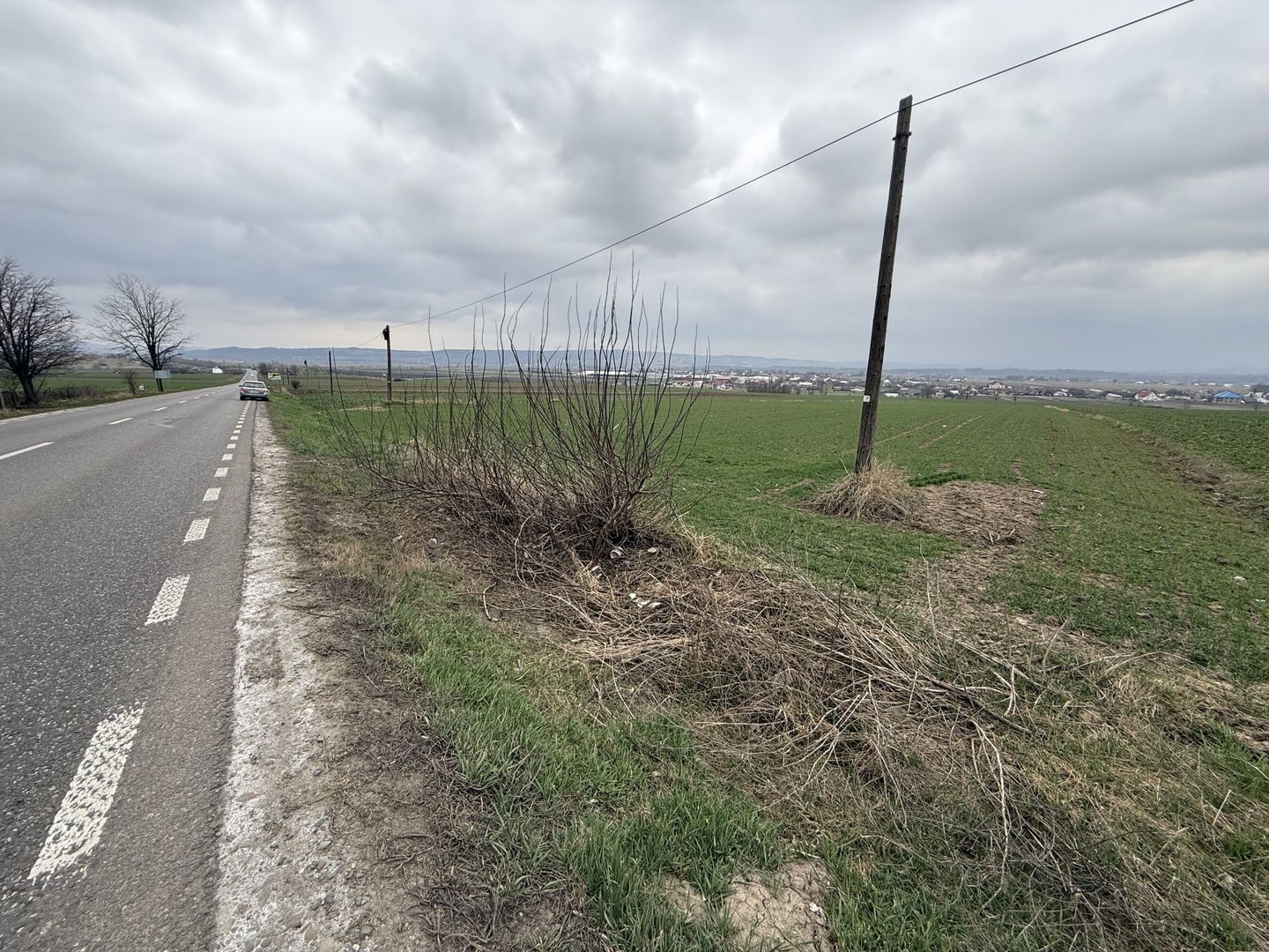 Teren intravilan | Grănicesti | 32 ARI - Poză 7