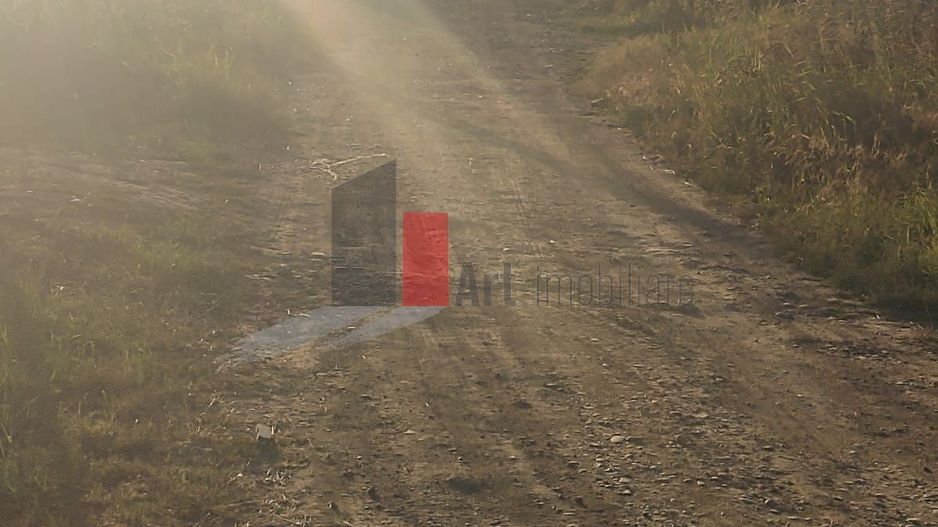 Vânzare teren intravilan comuna Berceni - Poză 3