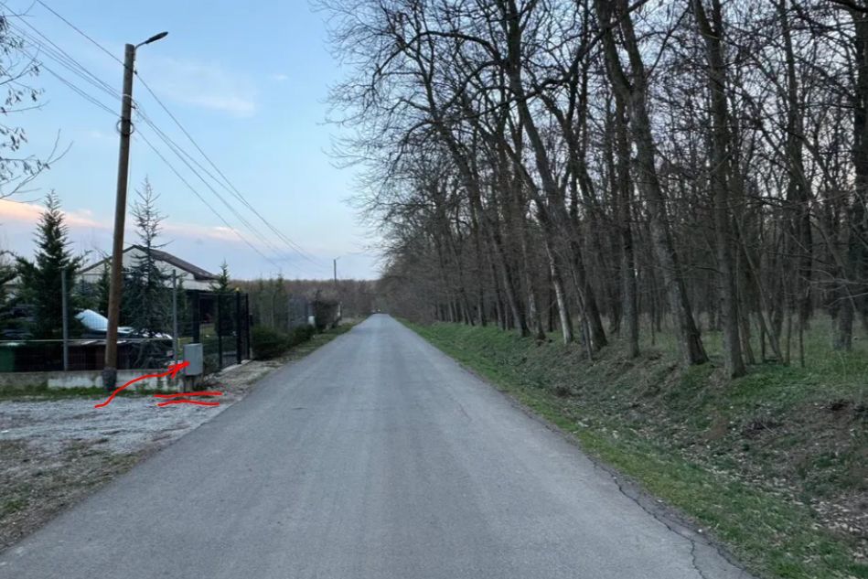 intravilan in vecinatatea palatului Snagov - Poză 1