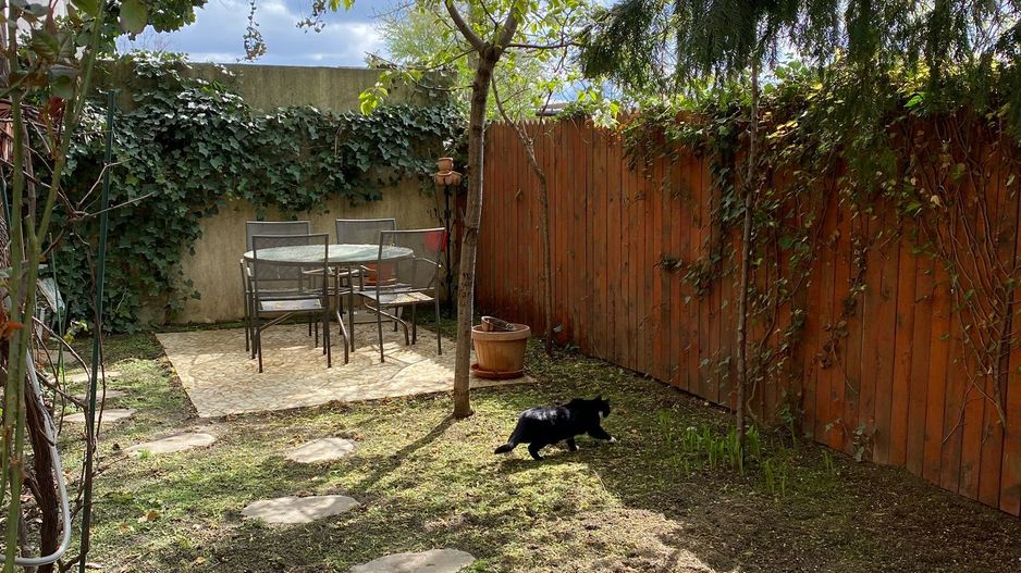 Casa individuala Chiajna - Rosu, 6 camere P+1Et+M, 217 mp utili, STB - Poză 14