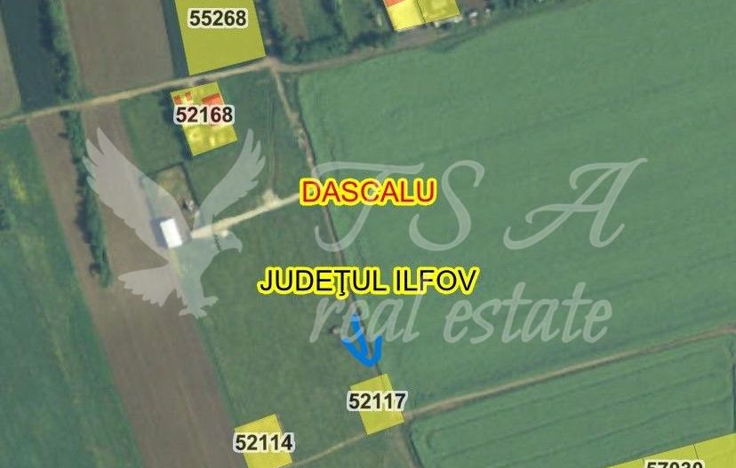 Teren Intravilan 825mp Cu dubla deschidere si Drum de servitute, Dascalu  Ilfov - Poză 14