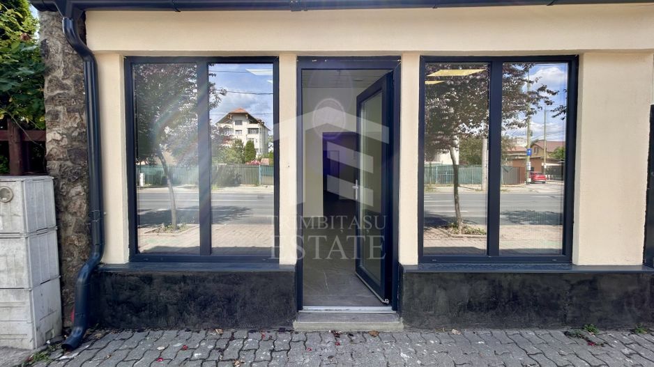 SAD 90 mp | Str. Cluj- Aries | VAD auto si pietonal | trifazic - Poză 4