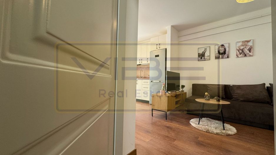 Apartament NOU 2 camere open-space Bucium  Visani - Poză 24