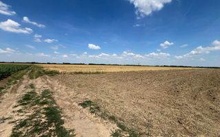 Teren arabil in Nojorid. Investiție sigură la preț excelent - Poză 2