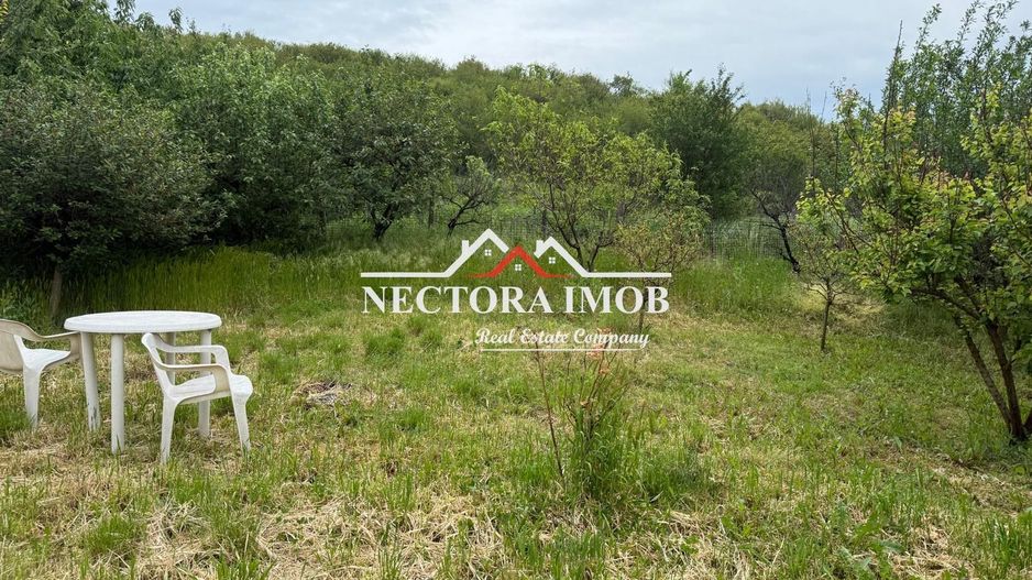 NECTORA IMOB-Casa 2 camere,Zona Gheorghe Doja, Teren 436 mp,utilat NOU - Poză 12