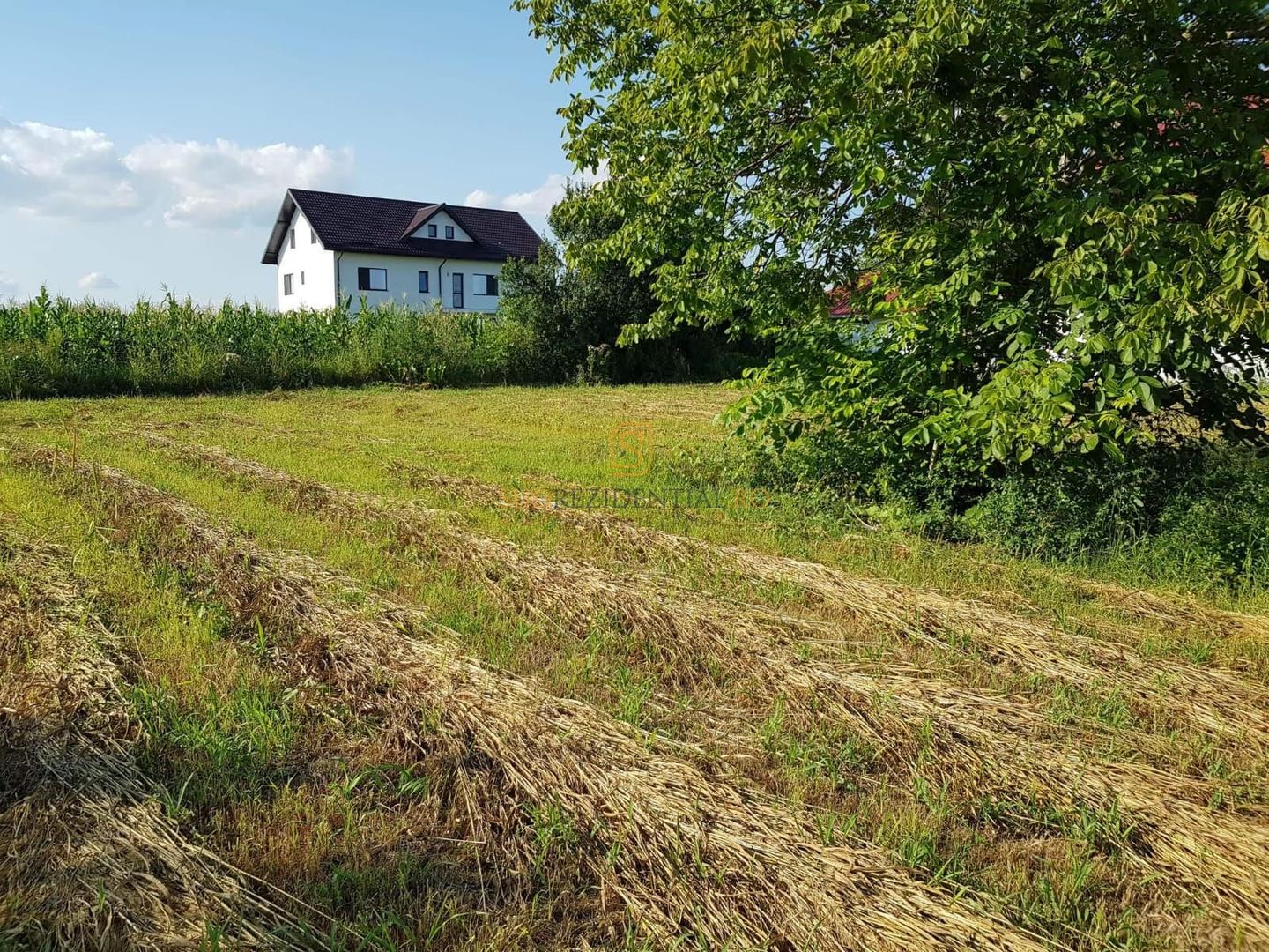 Teren intravilan – Adunatii Copaceni | 3.399 mp | Ideal investitie - Poză 2