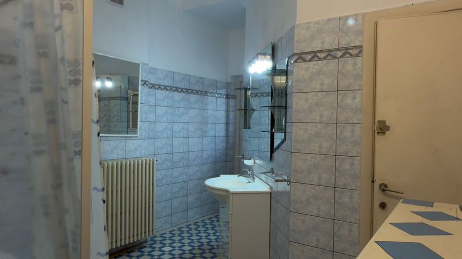 vila P+1 | Stefan cel Mare | Floreasca | Dorobanti | parcare - Poză 19