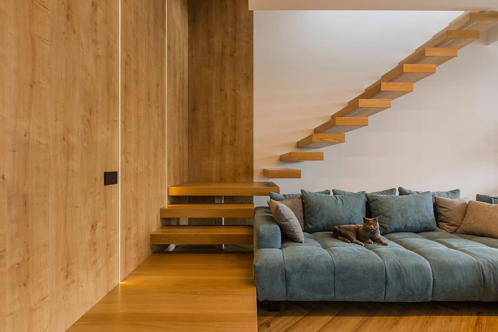 Proiect Modern in Dumbravita - Poză 3