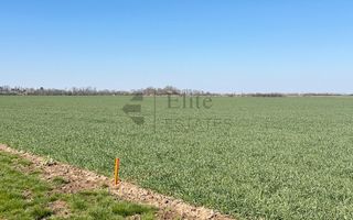 Teren 20.141 mp de vanzare in zona Aeroportului Oradea - Poză 10