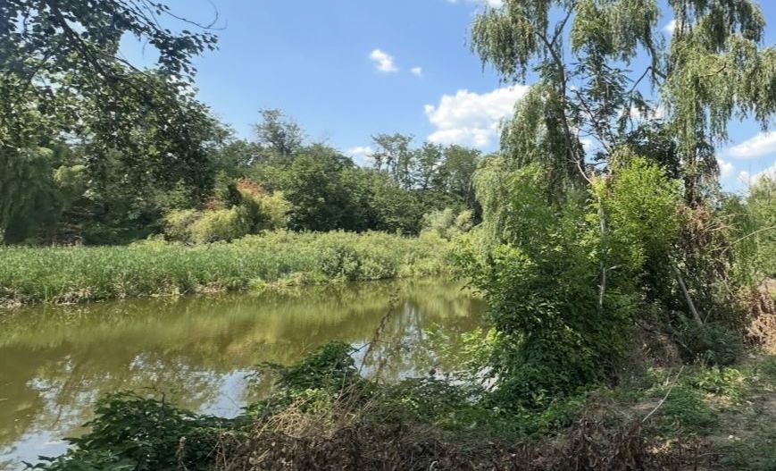 TEREN PIPERA CU DESCHIDERE LA LAC - Poză 2