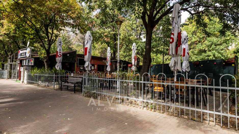 Afacere / Pizzerie de vanzare complet echipata + terasa | Camil Ressu - Poză 19