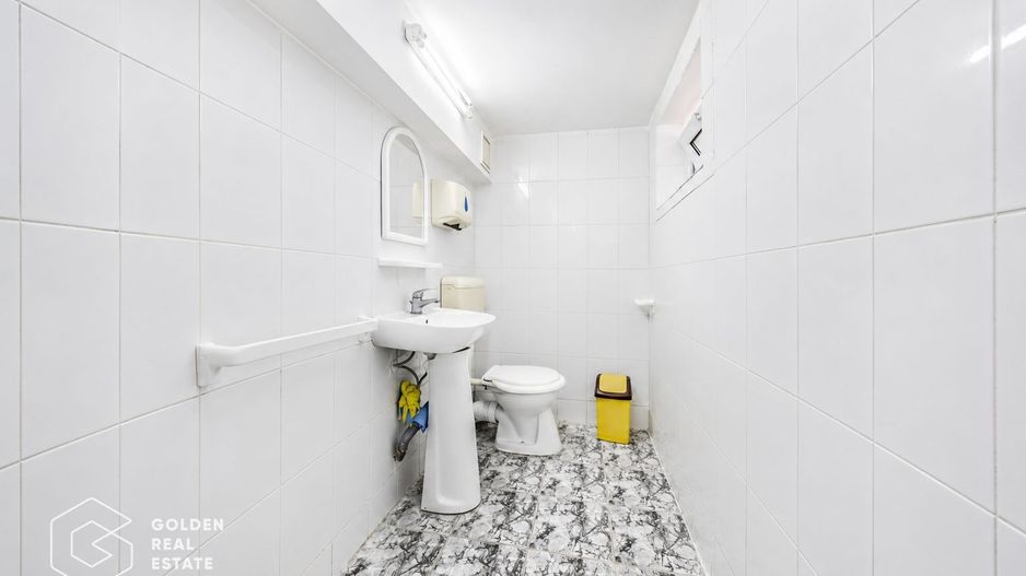 Cabinet medical, 200mp, parter+subsol-Policlinica Speciala, Boul Rosu - Poză 20