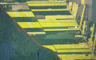 Teren INTRAVILAN***4701 mp8***Oportunitate investitie// Silistea Sangovului - Poză 2