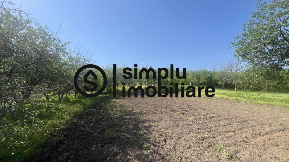 Teren Intravilan Central Ghercesti - Poză 3