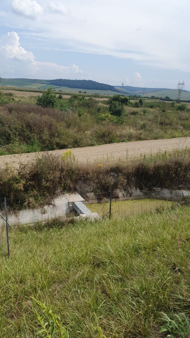 Investitie teren Proiect Spatiu Industrial - Autostrada Tg Mures - Poză 2