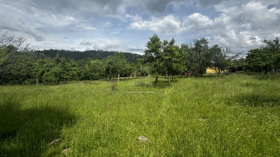 TEREN INTRAVILAN 4600 MP, VOINESTI, LERESTI, ARGEȘ - Poză 2