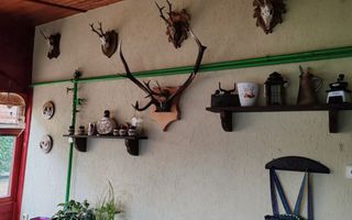 Casa in Paulesti - Poză 2