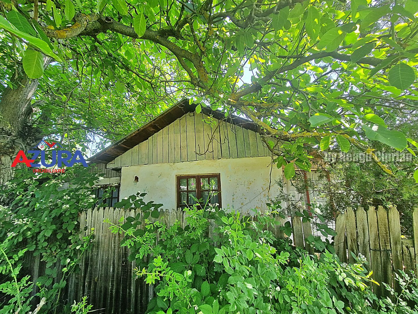 AZURA Imobiliare - Teren Auchan Gavana si Casa Bonus - Poză 6