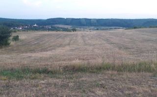 Teren extravilan | Betfia | 9664 Mp | Bihor - Poză 2
