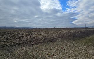 Teren Intravilan 10.000MP Zona Partos - Poză 4