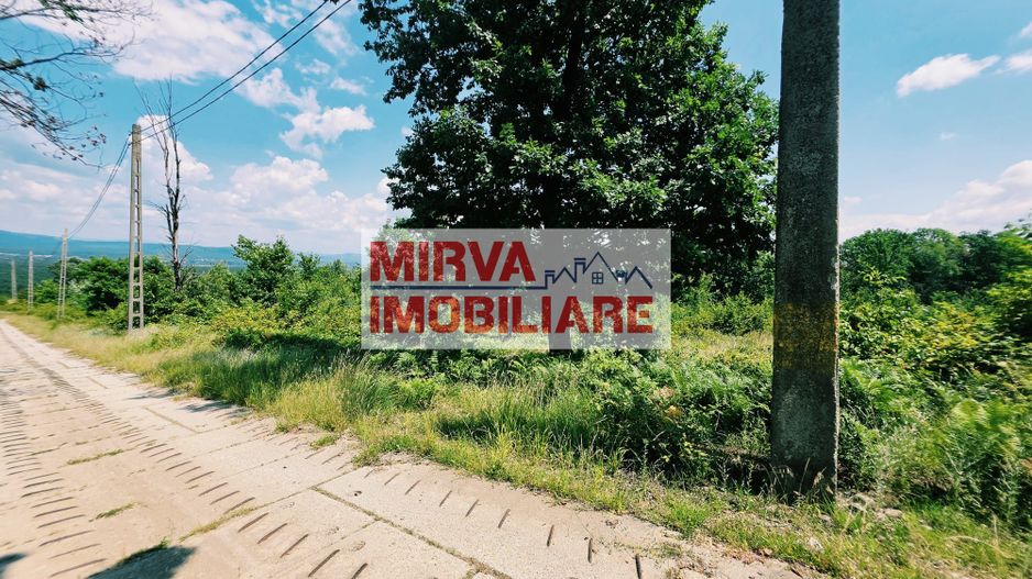 Teren extravilan 1.667 mp cu vedere panoramică – Dealul Ținea, Băicoi - Poză 4