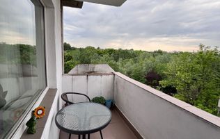 Apartament 2 camere. Vedere Parc Tineretului, Zona Pridvor.
