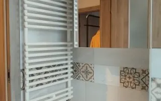 Apartament 2 camere zona Aradului-Torontalului - Poză 11