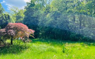 Vânzare, vilă, 6 camere, loc. Corbeanca, București - Poză 20