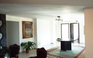 Ag BRASADAS vinde vila interbelica zona UNIRII. - Poză 10