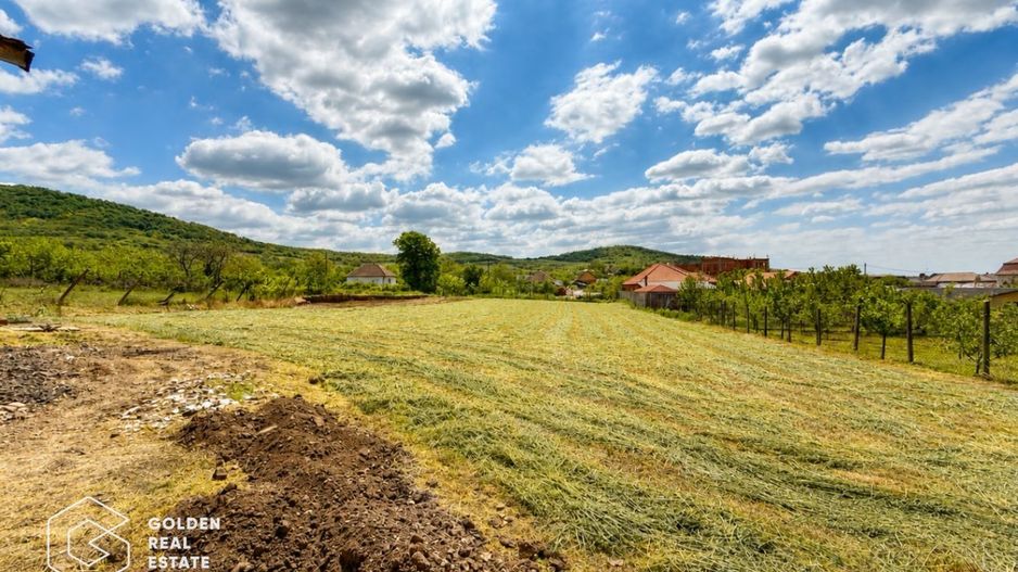 Casa P+M, teren 1578 mp, comuna Siria, comision 0% - Poză 21