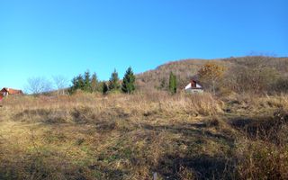 Teren intravilan Fântânele-Sibiu - Poză 2