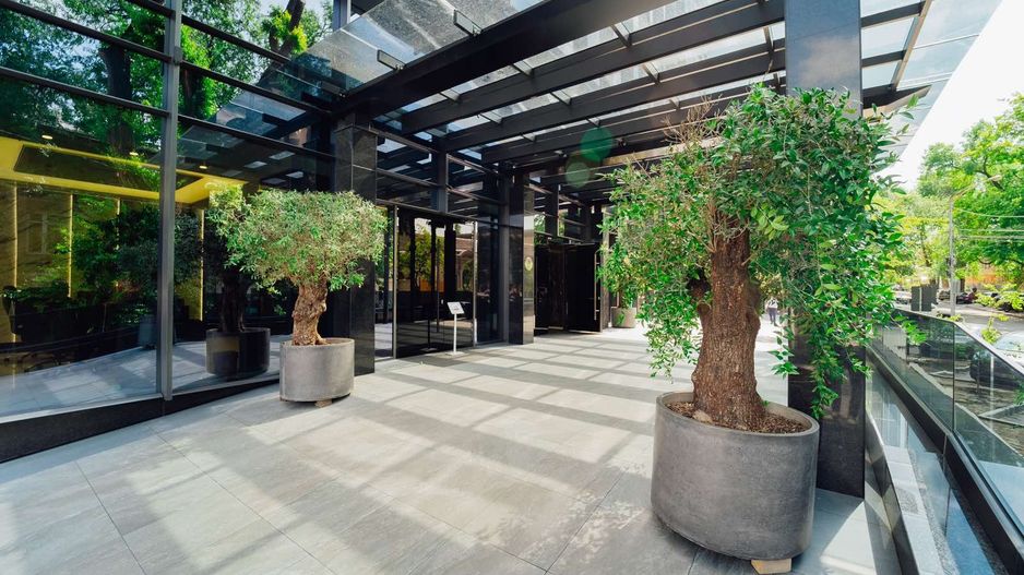 Spațiu Comercial Premium CHIRIE – 170 m² - Poză 12