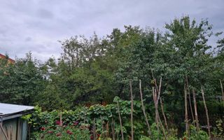 Proprietate individuala-3 apartamente,spatiu comercial,garaje,gradina,curte - Poză 11