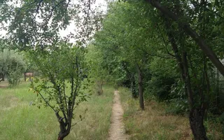 CASA BETON - 1500MP TEREN - 400MP UTILI - 370.000EURO - Poză 15