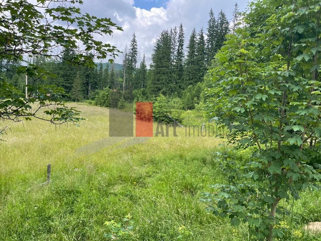 Teren statiunea Cheia, zona centrala - Poză 3