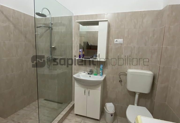 Apartament ultracentral Vasile Alecsandri - Poză 5