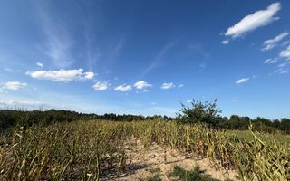 Teren intravilan Voitinel | 6.355 mp - Poză 3