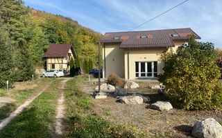 VILA CAMPULUNG, TEREN 4200 MP, PRET 259000 EURO - Poză 10