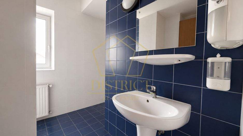 Proprietate multifuncțională cu potențial ridicat | Blascovici - Poză 12