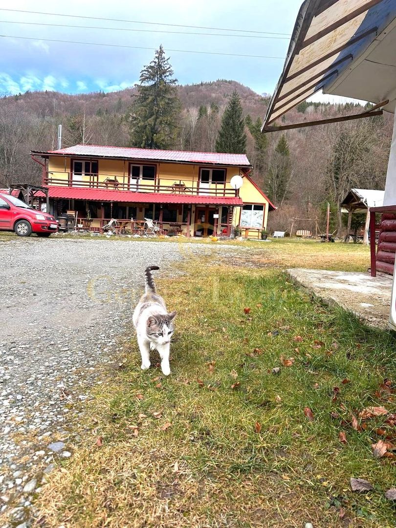 Vilă premium la munte – ideală pentru pensiune sau retreat - Poză 8